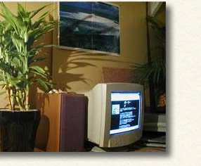 小さなお部屋でも場所をとらず置けます。