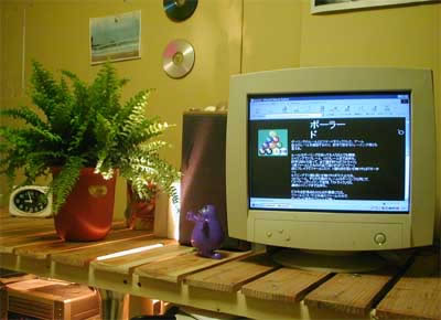 ソテツの実は味噌の原料にも使用されているそうです。