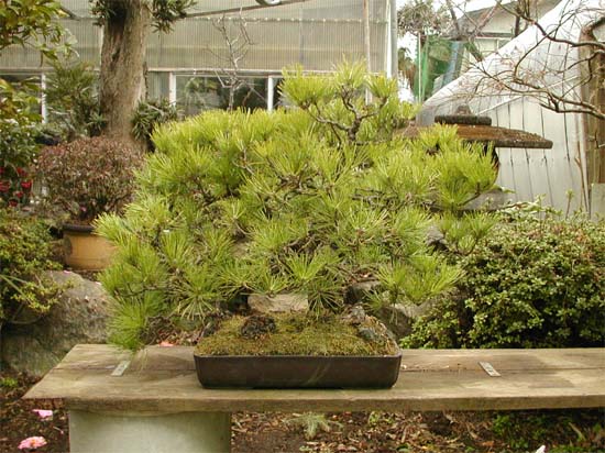 �����~��